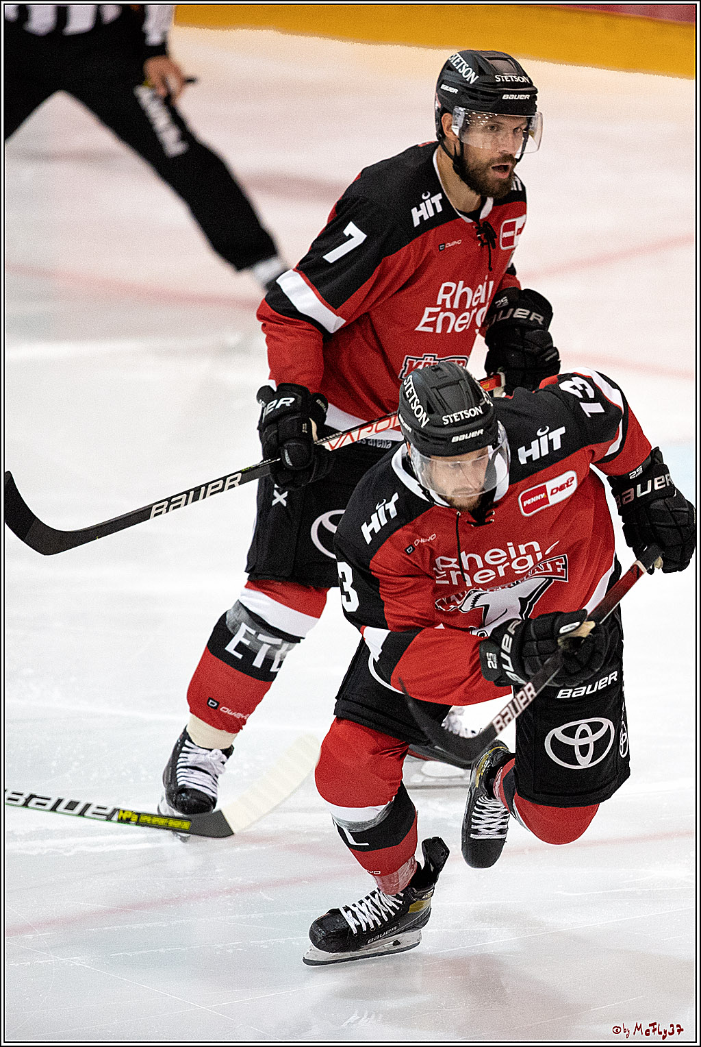 PENNY DEL;  Koelner Haie - Schwenninger Wild Wings; Koeln, 13.08.2021